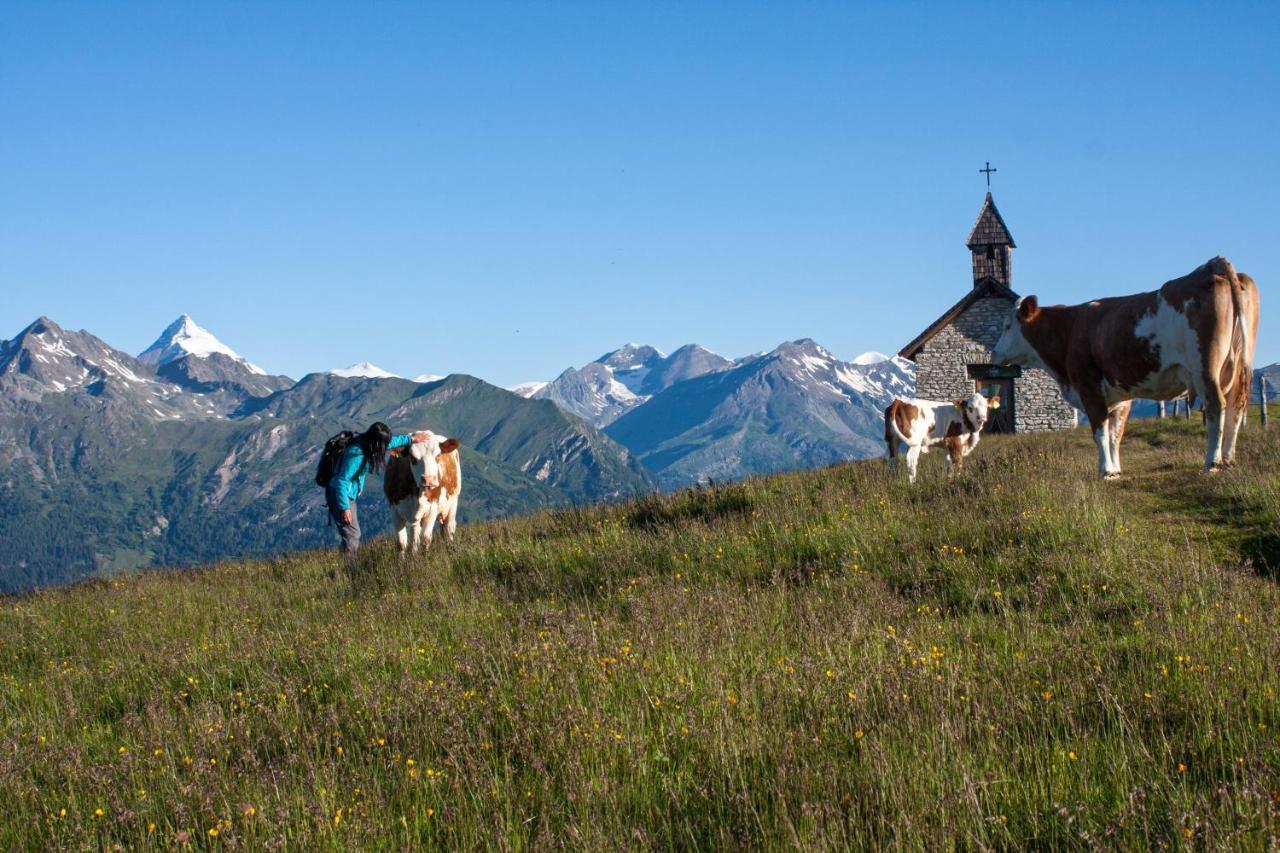 Almgasthaus Glocknerblick Großkirchheim Eksteriør billede