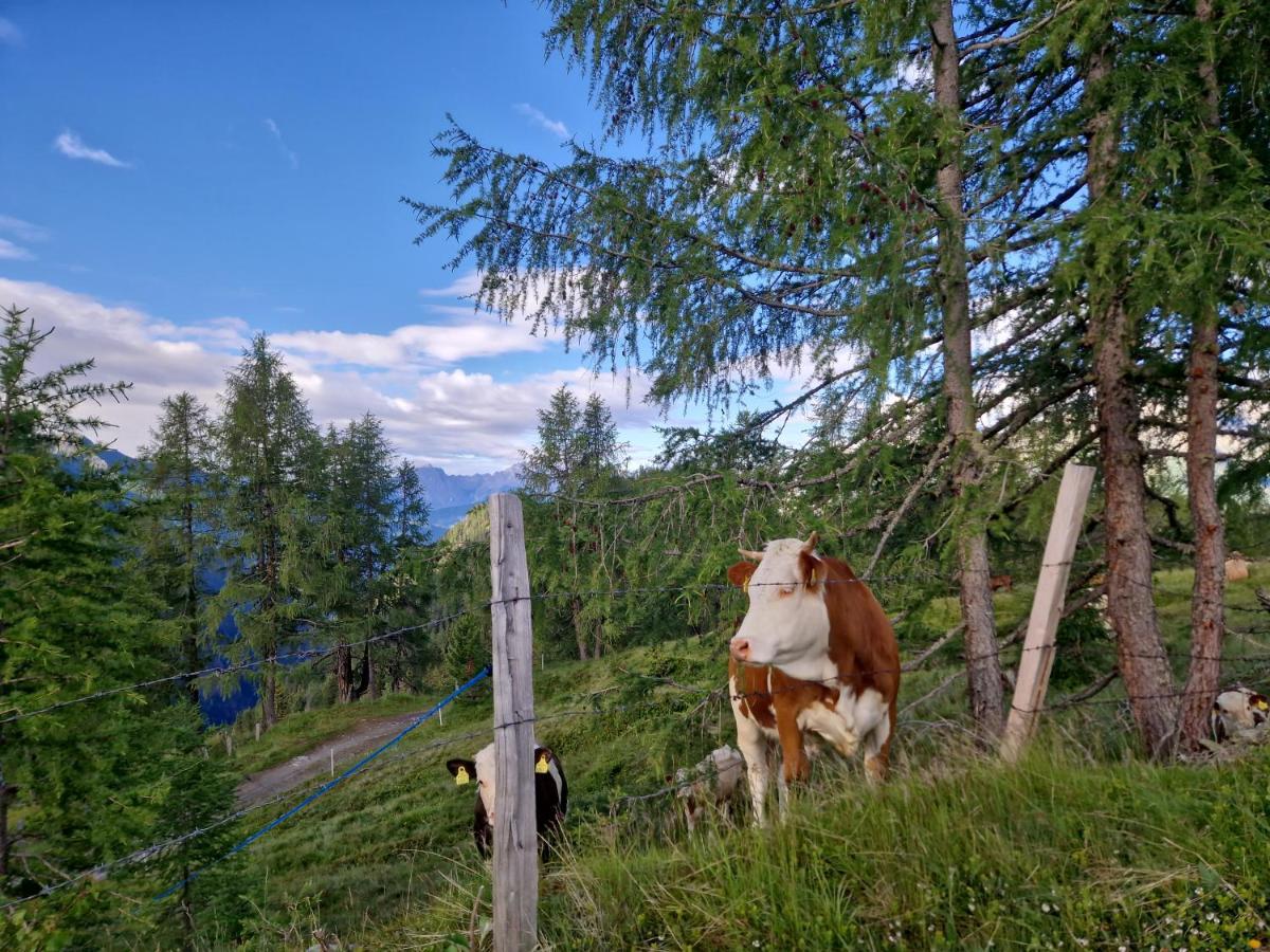 Almgasthaus Glocknerblick Großkirchheim Eksteriør billede